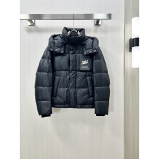 Louis Vuitton Down Jackets